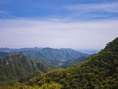 -大岭沟猕猴桃谷风景区
