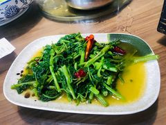 -土桥手掌鸡·26年灌县老味道(都江堰店)