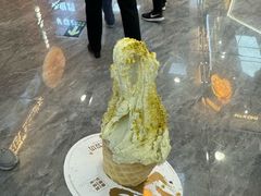 -野人先生现做冰淇淋(西安赛格店)