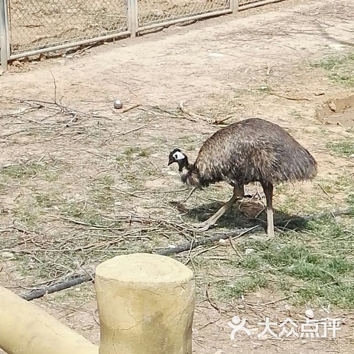 石家莊動物園