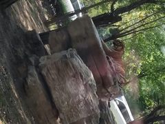 -秦皇岛野生动物园