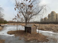 -前关湿地公园