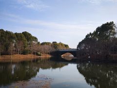 -上海海湾国家森林公园