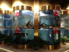 -蜀滋香鲜鱼美蛙火锅(339店)