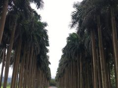 -南宁花花大世界景区