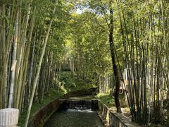 -广东温泉宾馆