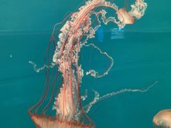 -多彩贵州城极地海洋世界