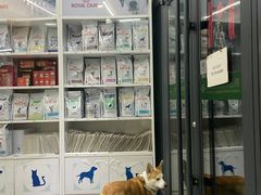 -爱侣宠医·鹦鹉专科·小型哺乳类·异宠专科(灵石路店)