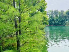 -万佛湖风景区