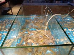 -“香”全日餐厅·株洲大汉希尔顿酒店