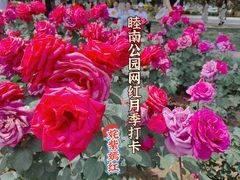 -睦南公园