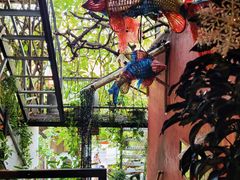 景观位-Cuc Gach Quan Restaurant