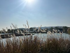 -南北湖风景区
