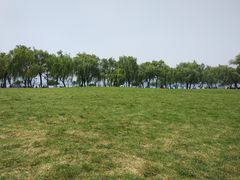 -柳浪闻莺公园