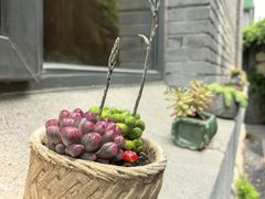 -庐灶江南·江南菜·四合院Bistro(东直门·华侨夜泊君亭店)