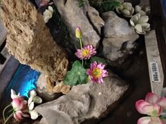 -秀水人家