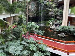 -白天鹅宾馆-宏图府餐厅