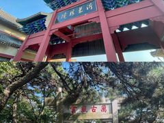 -沂蒙山旅游区龟蒙景区