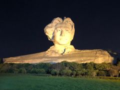 -茶颜悦色(登高路上店)