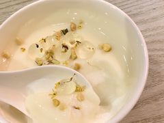 -杨记杏仁茶(椰园店)