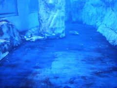 -暹罗海洋世界