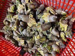 -乐在集市海鲜大排档(平潭店)