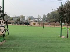 -尚庄度假村·庭台树下·户外烧烤·团建CS·轰趴营地(上庄水库店)