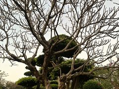 -南宁南湖公园
