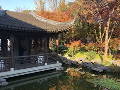 -秋霞圃