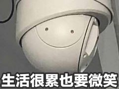 -中国移动(高升桥营业厅)