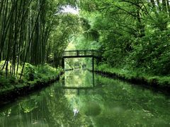 -同里国家湿地公园
