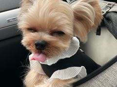 -珊珊小笼馆(仙霞路店)