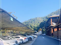 -西双版纳原始森林公园