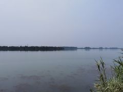 -漕湖湿地公园