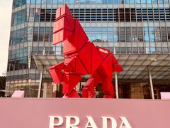 -PRADA普拉达(国金中心店)