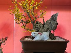 -颐和园