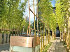 -上海柏悦酒店