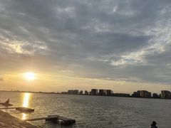 -碧海金沙