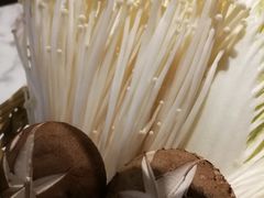 -同仁四季椰子鸡(福田东园总店)