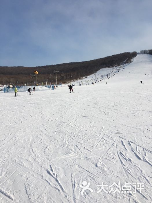 帽儿山滑雪场地址图片