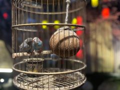 -哈哈曲艺社(西门闲亭店)