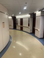 -复旦大学附属妇产科医院(杨浦院区)