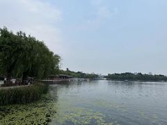 -长春市南湖公园