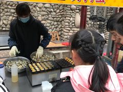 -呀路古热带植物园