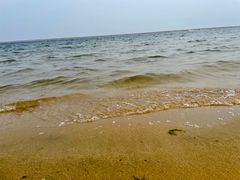-碧海金沙