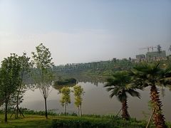 -枫香湖儿童公园