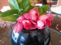 -彩丰楼·中餐厅(国家会展中心上海洲际店)