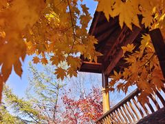 -本溪老边沟风景区