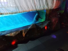 -常州海昌海洋探索馆