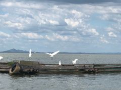 -鄱阳湖国家湿地公园